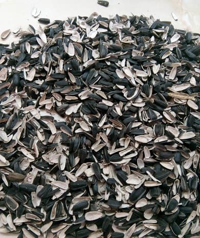 Використання подрібненої лузги соняшника як відходу для виробництва біопалива