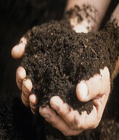 Тваринний гній як ефективна сировина для виробництва біогазу