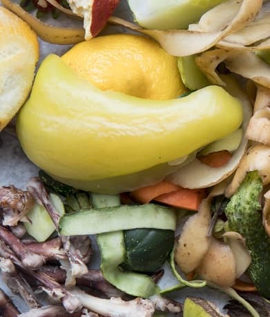 Харчові відходи з ресторанів і домогосподарств як сировина для біогазу